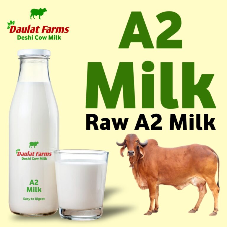 Daulat Farms A2 Milk Full Cream (Raw Milk) 1 Litre - Daulat Farms